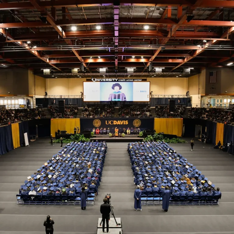 Court Armor Roll - UC Davis_web